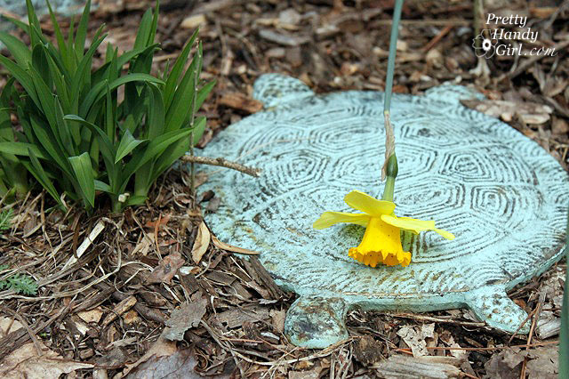 OneDaffodil