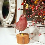 Bird-close-up-mantle