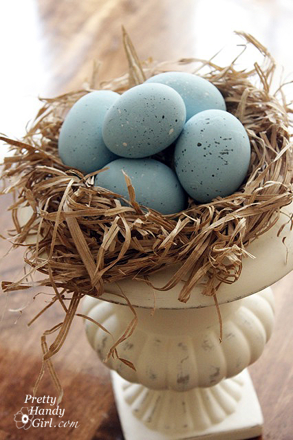close-up-eggs