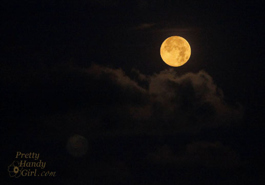 Orange_moon