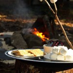 DIY_fire_pit_promo_image