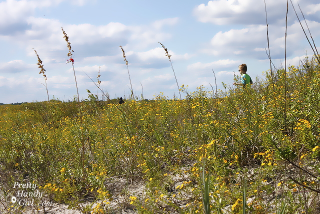 boys_in_field_topsail