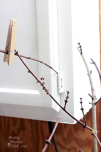 brace_branch_while_drying