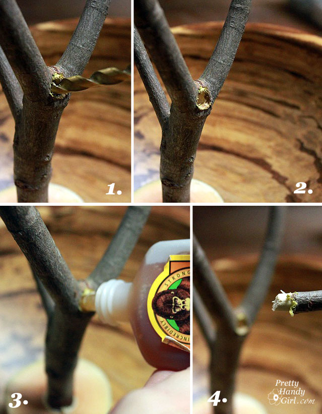 graft_branch_on
