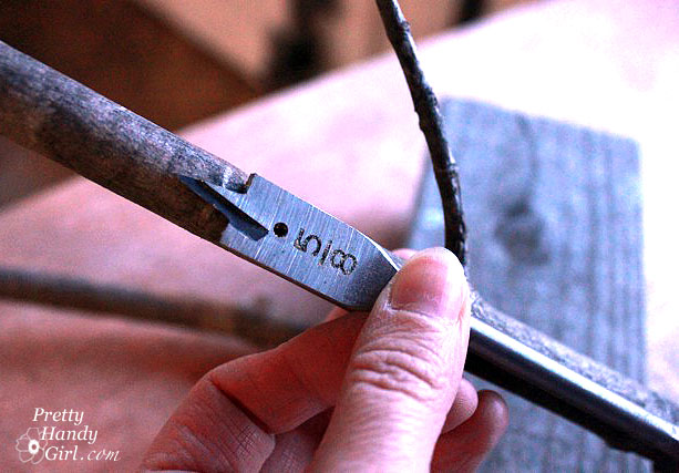 measure_drill_bit_against_branch