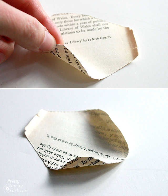 roll_corners_of_petals