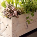 corner_view_after_window_box