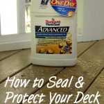 How_to_Seal_Your_Deck_pin