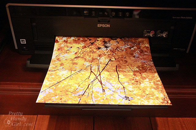 epson_r2000_13x19_print