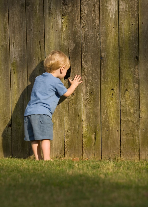 peeking_through_fence