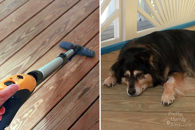 vacuum_dog_hair