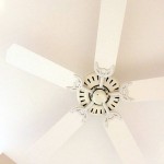 view_of_ceiling_with_fan