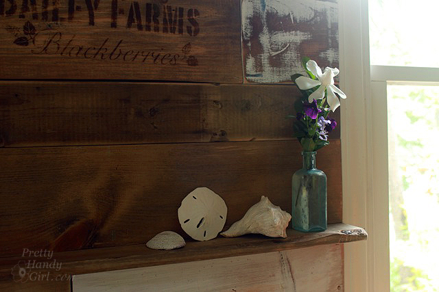 shelf_with_bottle_shells