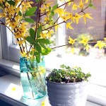 decorating_with_clover