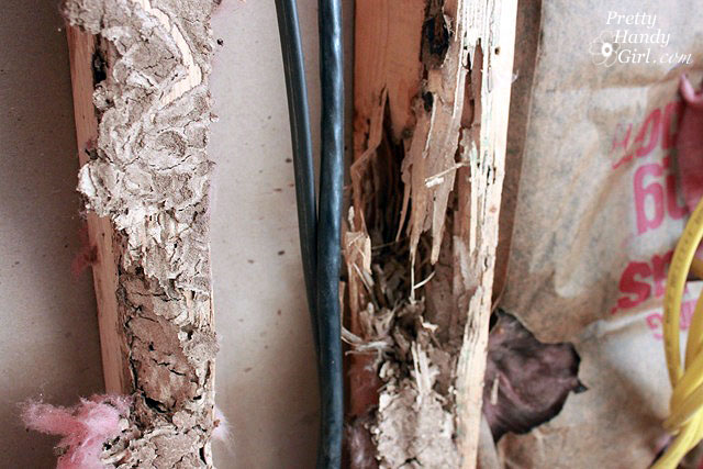 termite_rotted_board