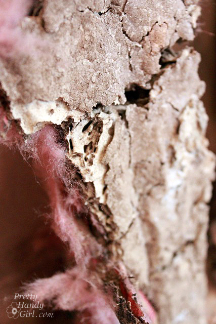 termite_tunnels