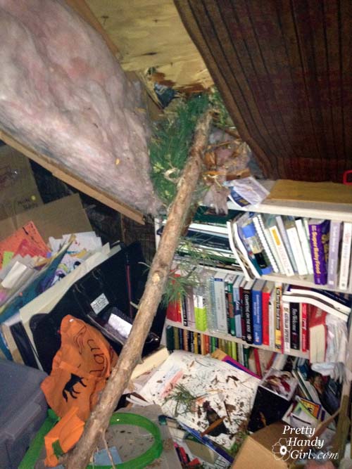 branch_through_attic