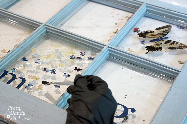Brush_to_edges Big Butterfly Window