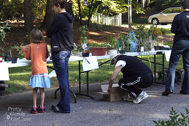 taking_plants_from_swap