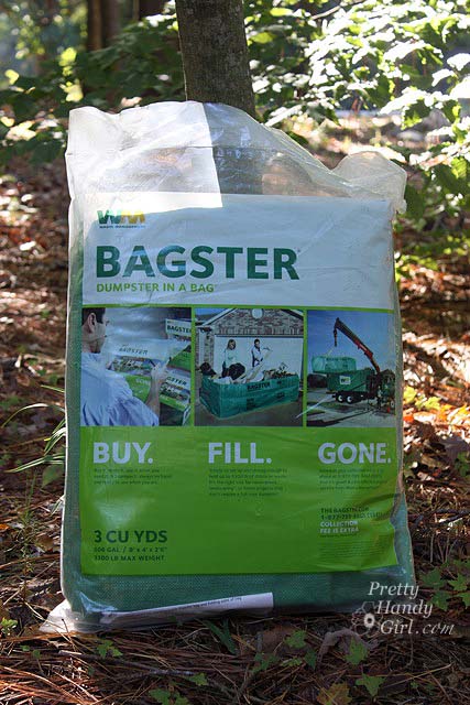 the_bagster_against_tree