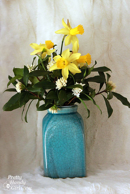 daffodils_daphne_in_aqua_vase