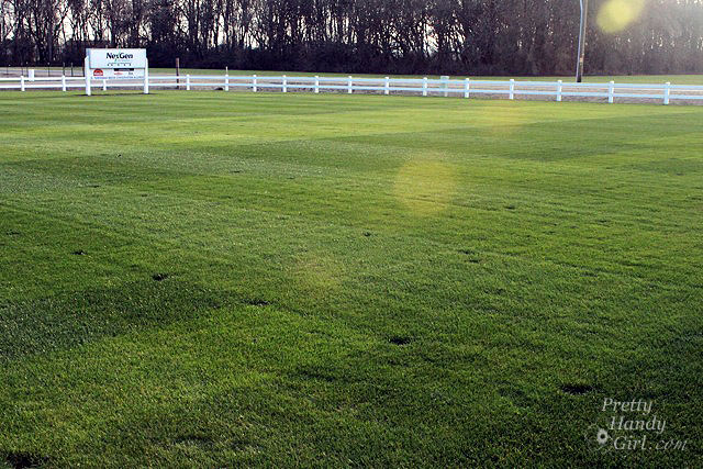 How To Grow A Better Lawn Gr Seeds Do Make The Difference For More Information About Planting And Maintaining Gr