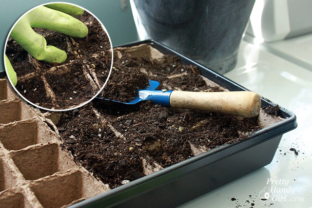 How to Root Plant Clippings