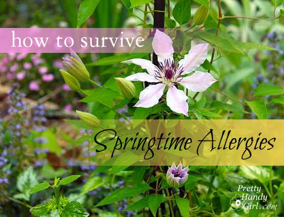 how_to_survive_springtime_allergies