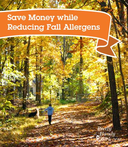 save_money_reduce_fall_allergens