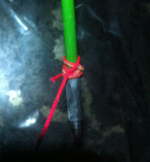 Fish-Pole-Tie-On