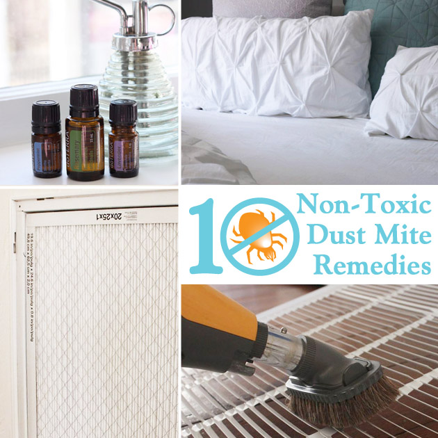 10 Non-toxic Dust Mite Remedies | Pretty Handy Girl