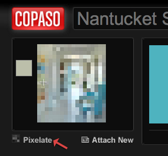 Copaso Pixelate Picture | Pretty Handy Girl