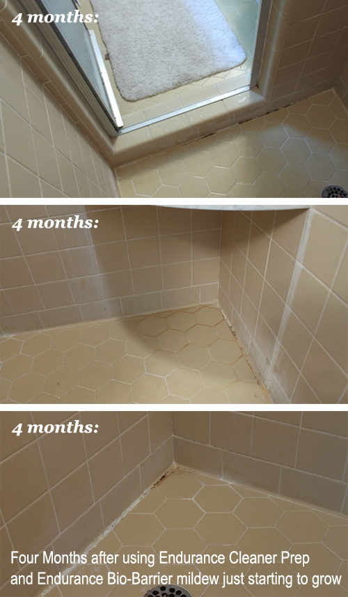 Mold & Mildew Free Shower for 4 months | Pretty Handy Girl