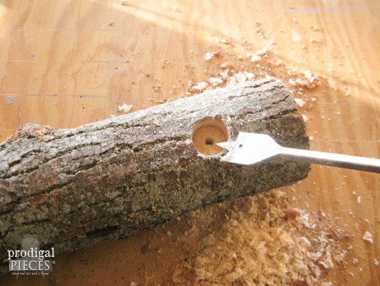Give your feathered friends a treat from spingtime through winter. Make this easy-to-build DIY log bird feeder with one tool and a few basic materials. 