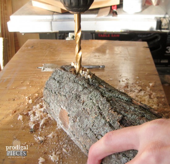 Give your feathered friends a treat from spingtime through winter. Make this easy-peasy DIY log bird feeder with one tool and a few basic materials by Prodigal Pieces for Pretty Handy Girl www.prodigalpieces.com #prodigalpieces Give your feathered friends a treat from spingtime through winter. Make this easy-peasy DIY log bird feeder with one tool and a few basic materials by Prodigal Pieces for Pretty Handy Girl www.prodigalpieces.com #prodigalpieces