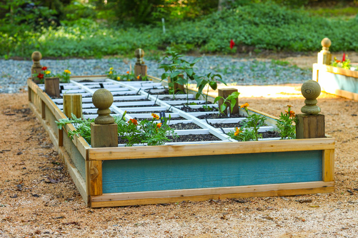 How to Build a Rot-Resistant Raised Planter Bed | Pretty Handy Girl