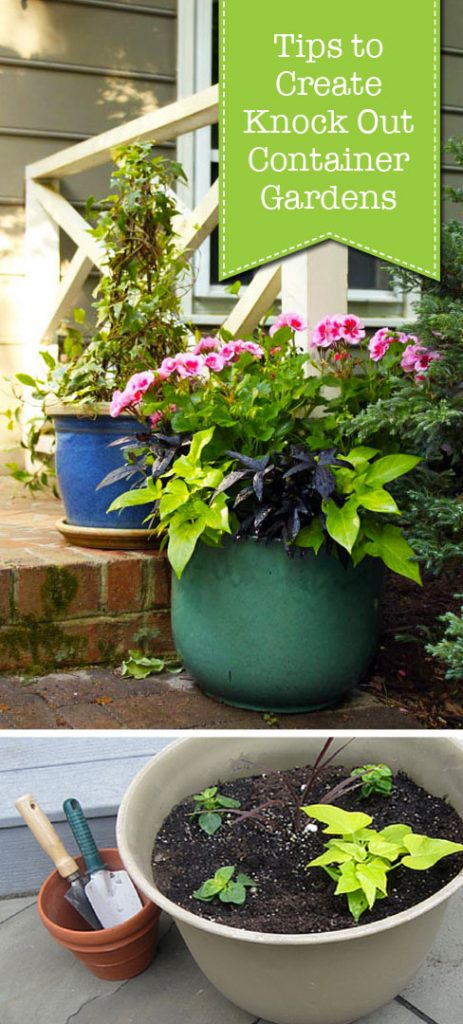 Tips to Create Knock Out Container Gardens | Pretty Handy Girl