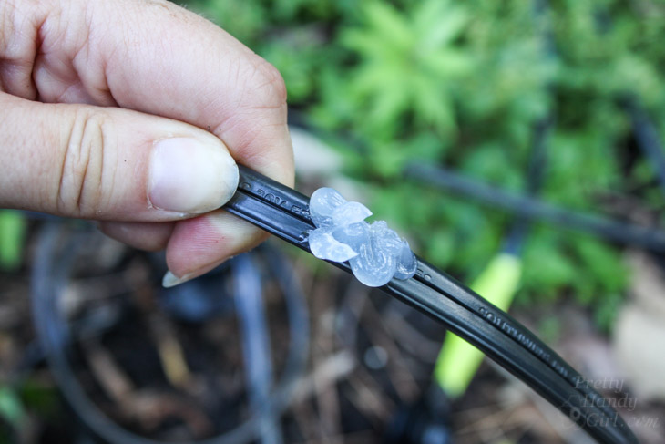 How to Install Low Voltage Landscape Lights (that also repel mosquitos!) | Pretty Handy Girl