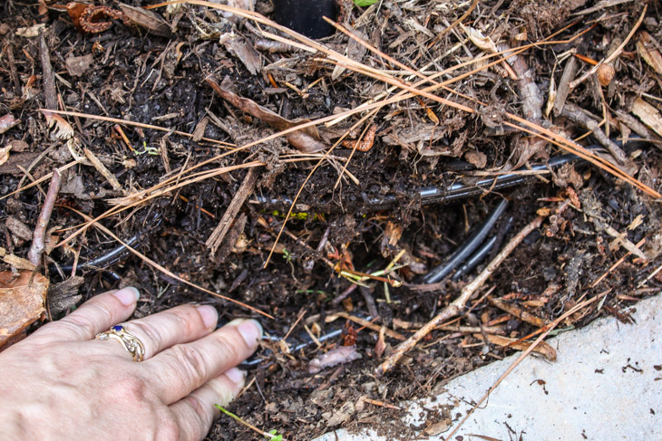 How to Install Low Voltage Landscape Lights (that also repel mosquitos!) | Pretty Handy Girl