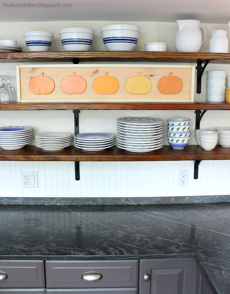 DIY Framed Pumpkins by Pretty Handy Girl