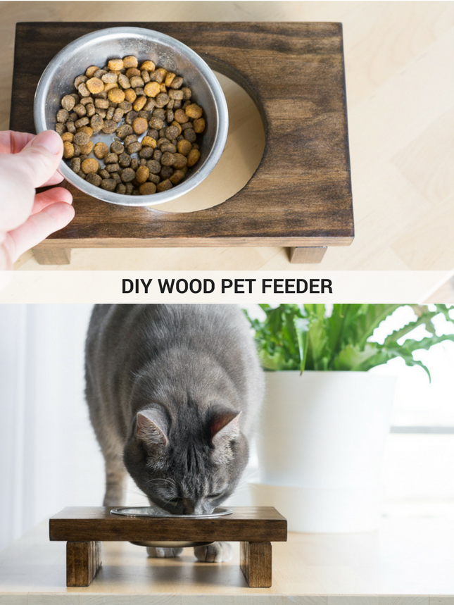 diy elevated cat feeder