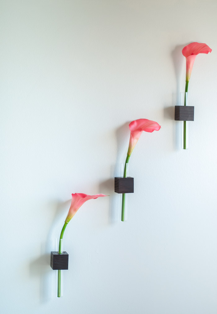 DIY test tube vases on the wall