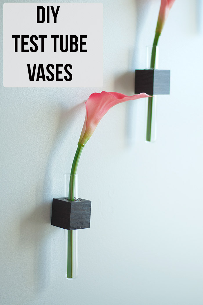 DIY test tube vases on the wall