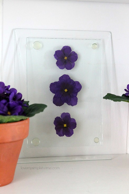Pressed faux flowers behind glass