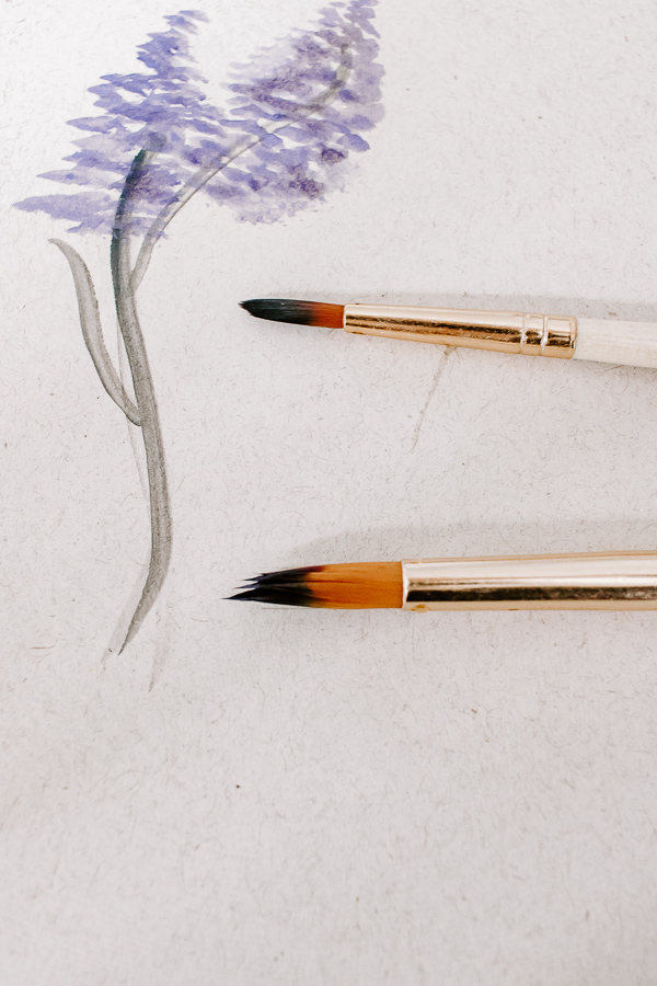 Use a small and medium size brush to create your watercolor lavender